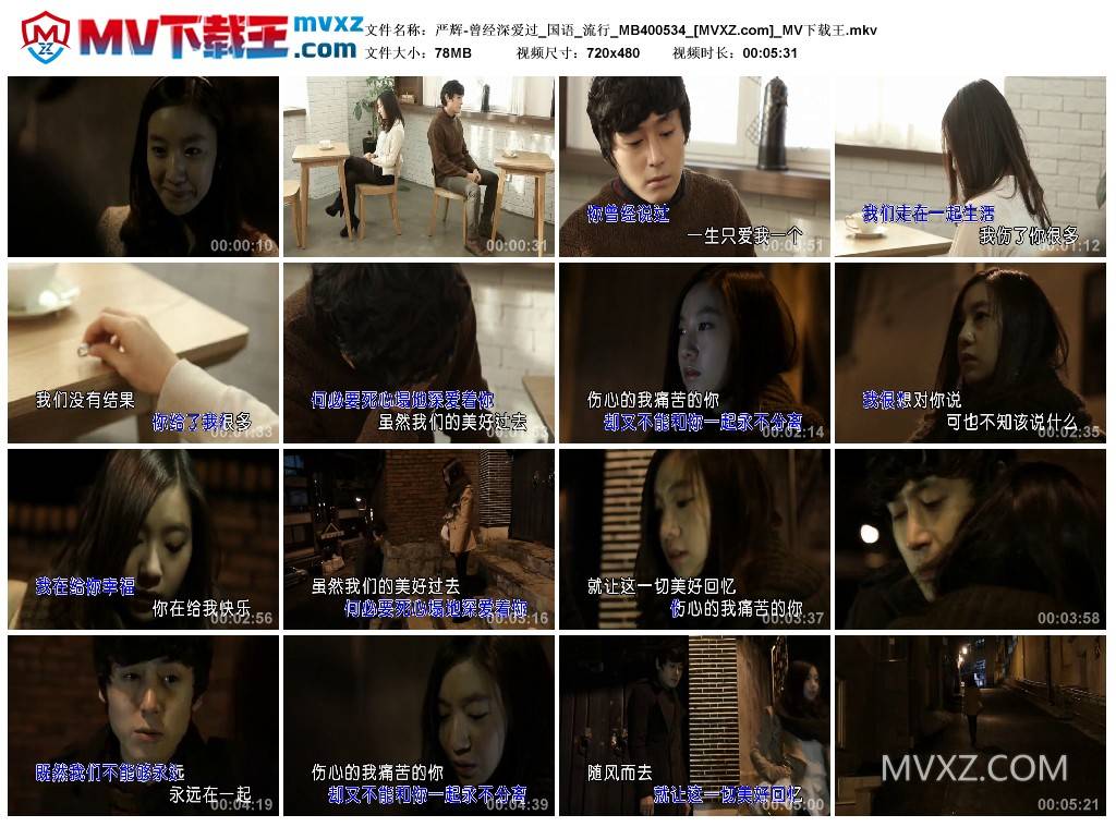 严辉-曾经深爱过_国语_流行_MB400534